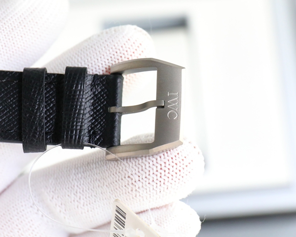 アイ・ダブリュー・シー着用イメージ